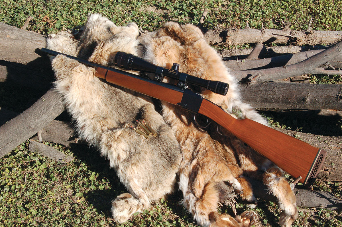 Gil used a Ruger No. 3 22-30-30 to work up test loads.